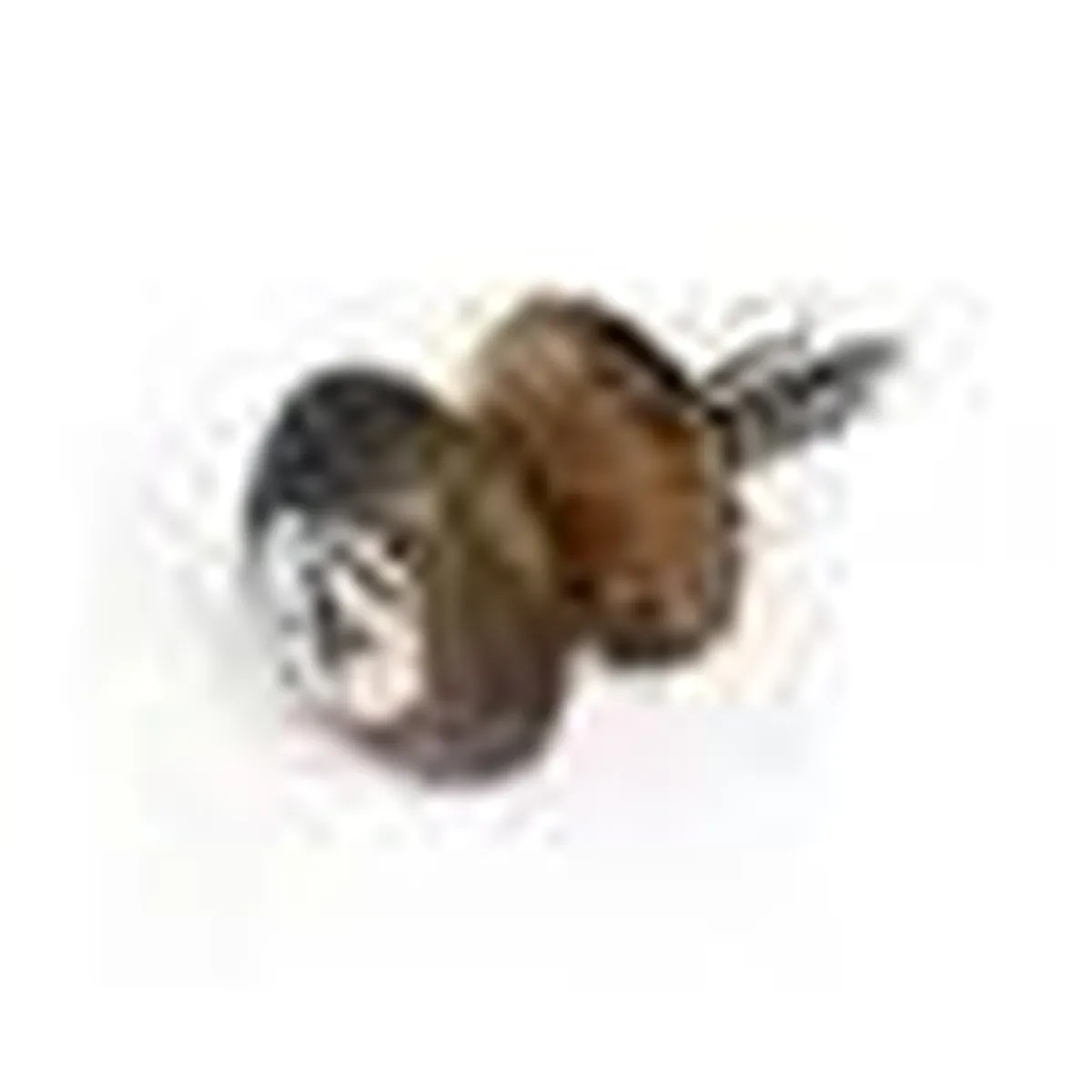 Strap Button (NOT Installed) - Image 9